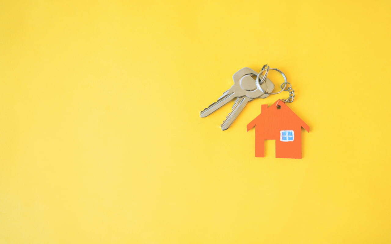 The Homeshare Scheme Bringing Unlikely Housemates Together