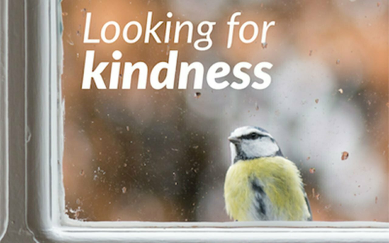 Looking For Kindness
