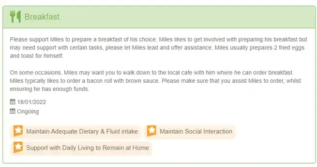 Care plan example: daily planning