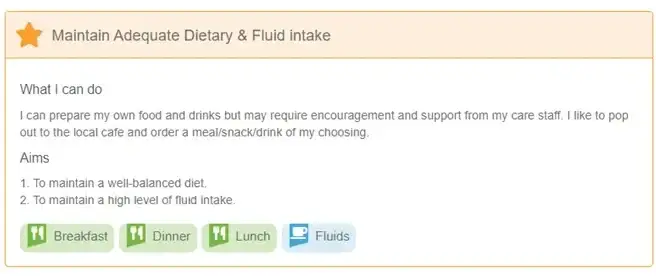 Care plan example: dietary and fluid intake