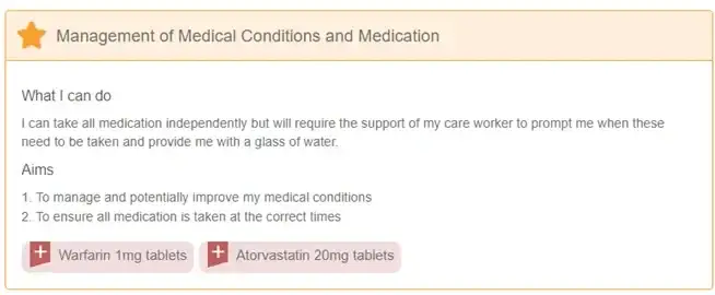 Care plan example: medication management