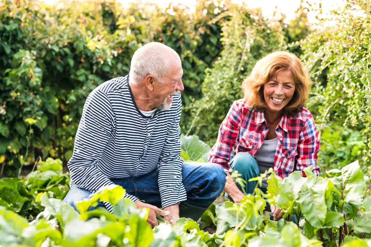 What is retirement living? Gardening activity