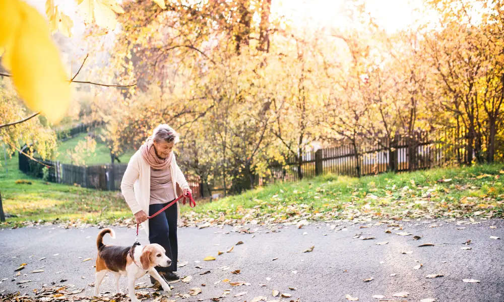 Benefits of nature on physical health: Benefits of nature on physical health