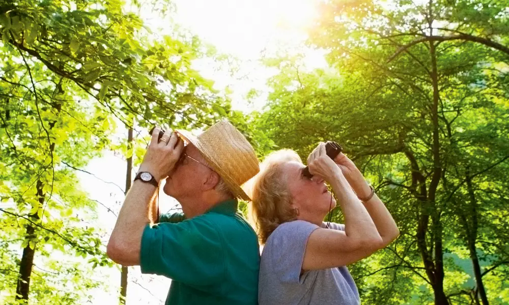 The importance of nature for people in care: Start a birdwatching group