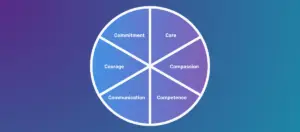 The 6 Cs in Health and Social Care